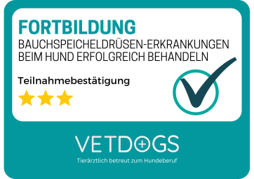 Bauchspeicheldrüsen-Erkrankungen beim Hund erfolgreich behandeln